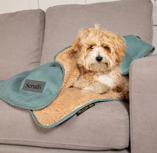 Scruffs Snuggle Blanket
