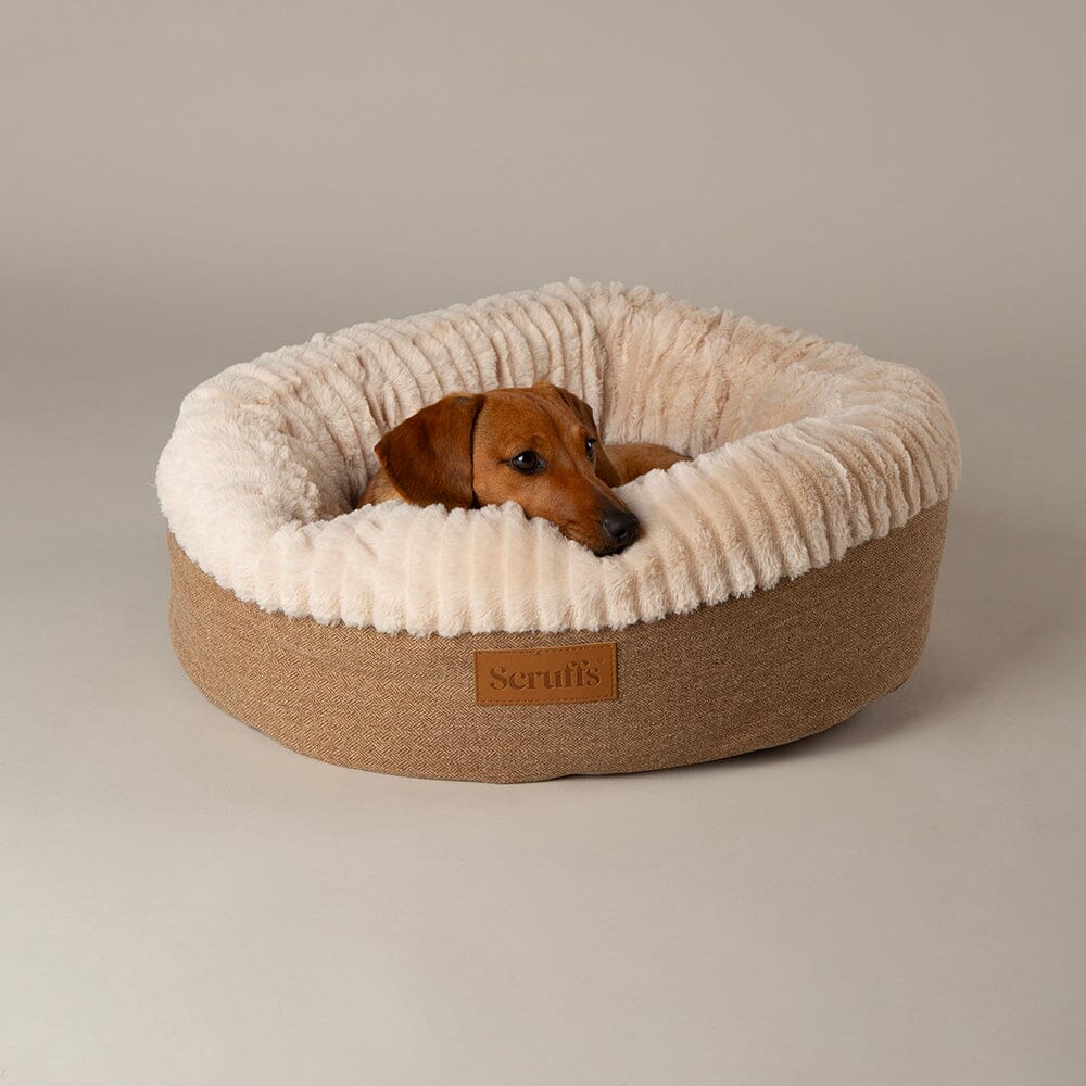 Scruffs Ellen Donut Bed